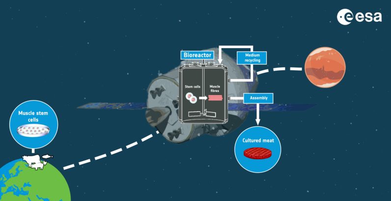 cultivated mission for space mission graphic representation 